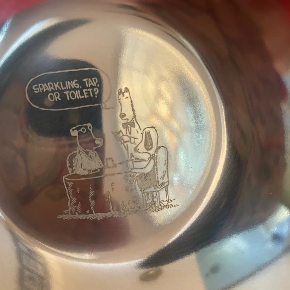 Dog Dish: Cartoon Etched Slip-Resistant Pet Dish